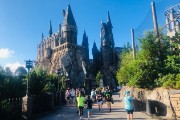 1-Universal Days